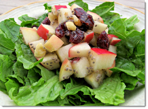 vegan-thanksgiving-waldorf-salad-rambling-vegans-flickr